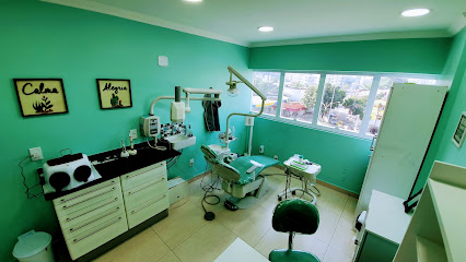Foto de Dra Monique Ferreira, Endodontista em Rio de Janeiro