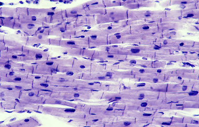 Foto de Dr. Asín Cardiel